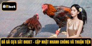 Đá gà cựa sắt